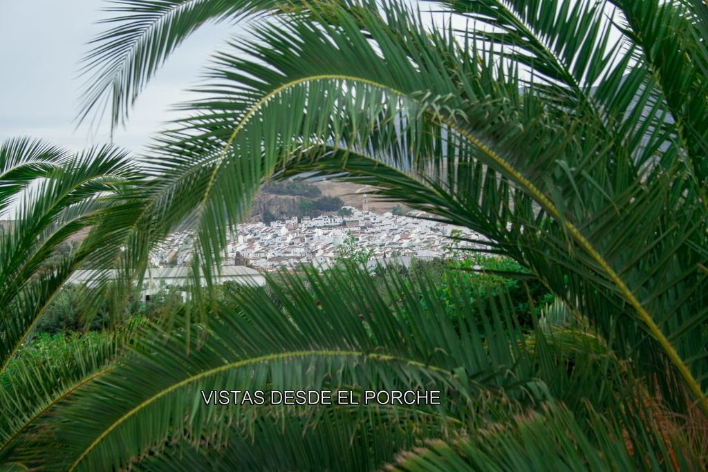 Finca Villa Rey 阿达莱斯 外观 照片